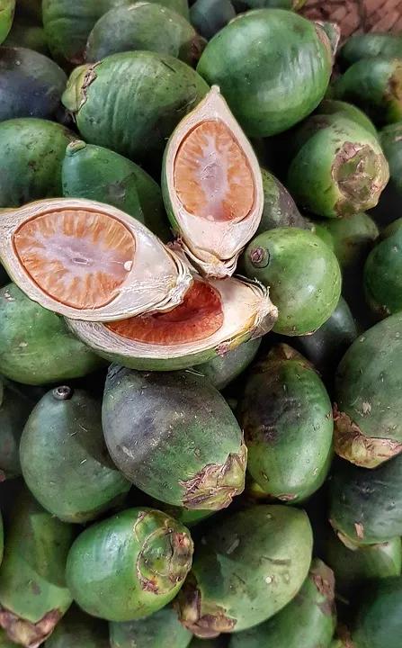 吃冰槟榔的危害,槟榔加酒的危害