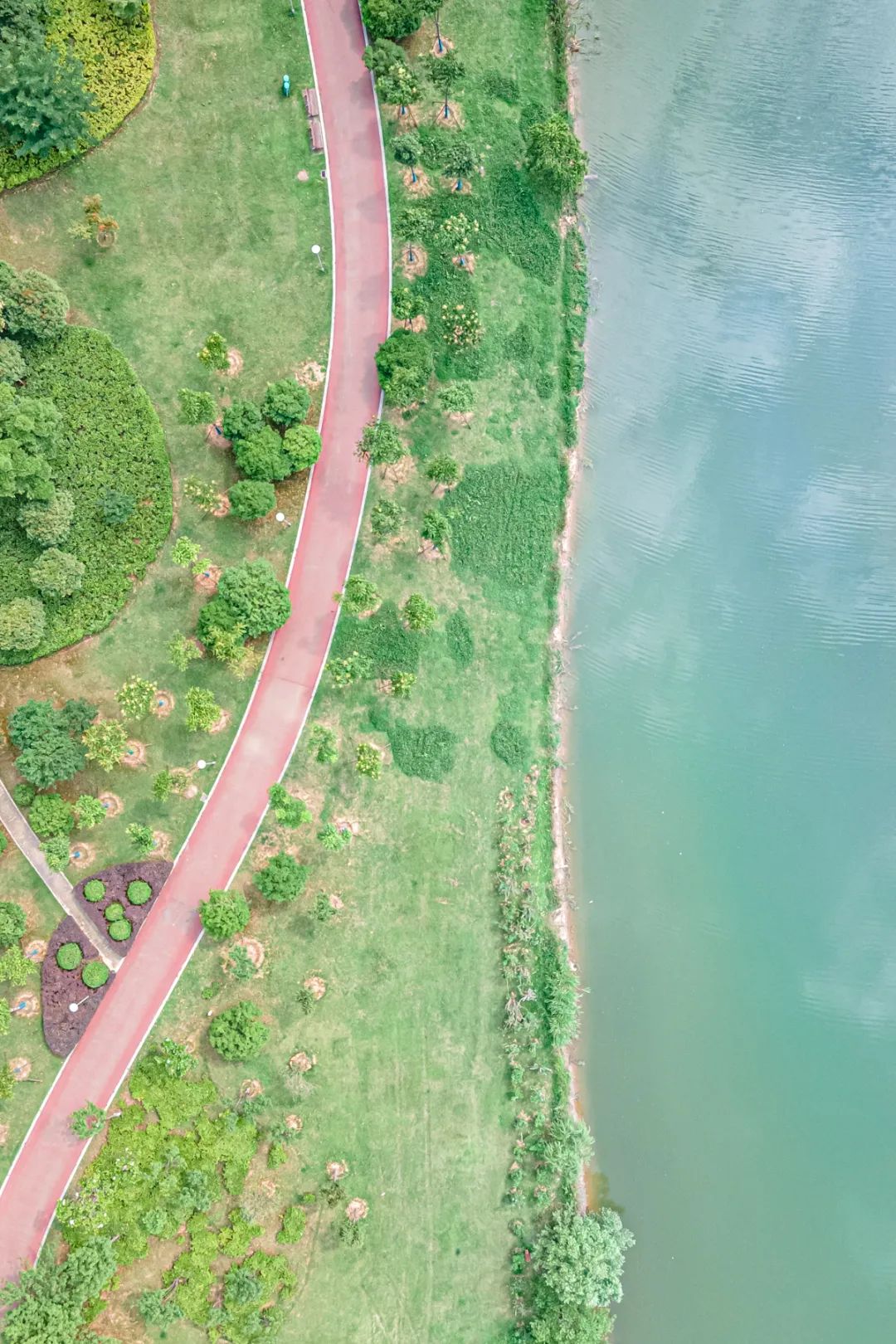 淘金山骑行绿道和东湖骑行绿道,周末绿道骑行一路都是美景