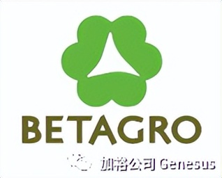 全球生猪养殖企业排名,世界十大牧业集团排名