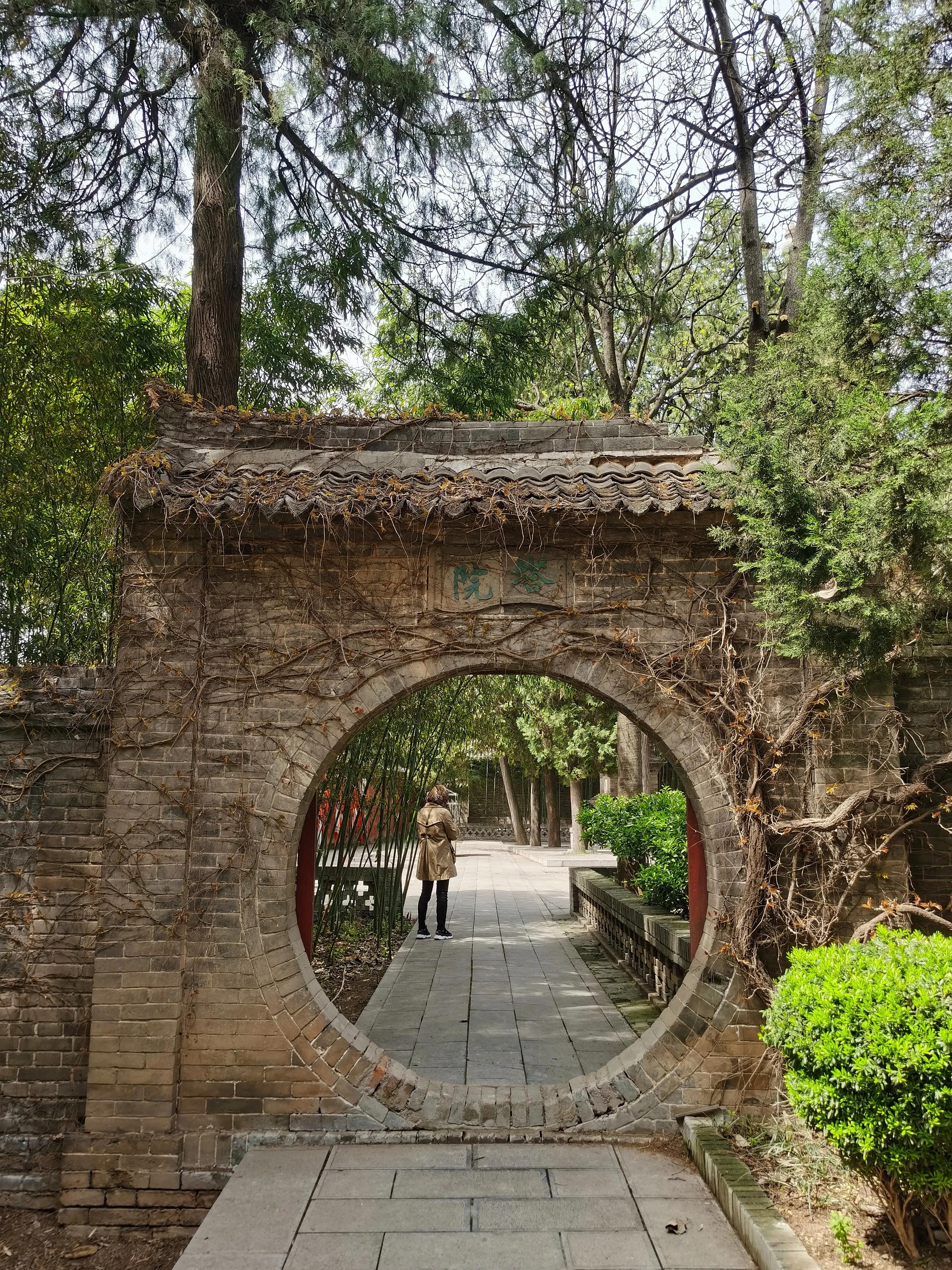 西安大兴善寺免费景点,西安市的世界文化遗产