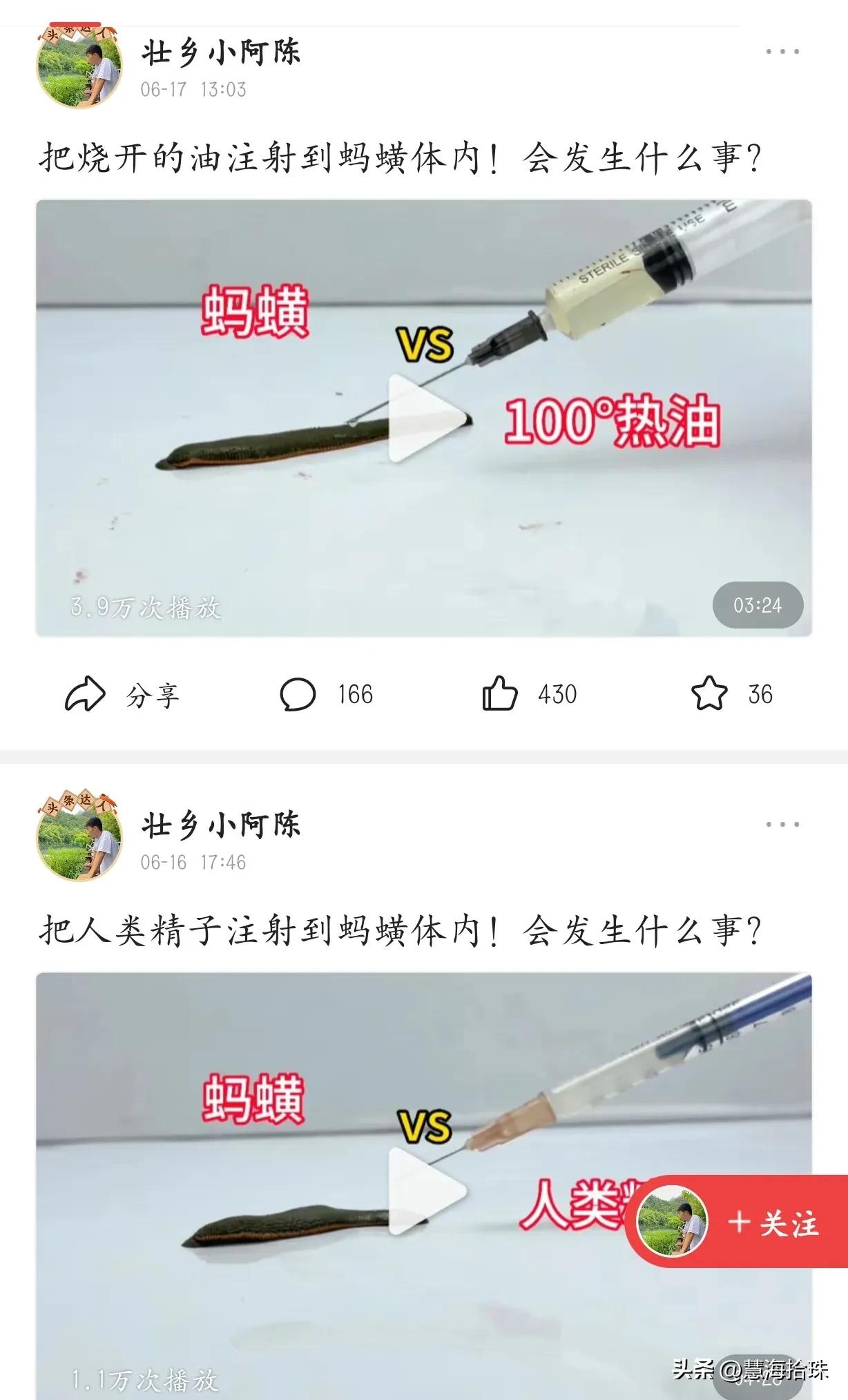 为什么有些人喜欢杀动物,为什么有人会虐猫或虐狗