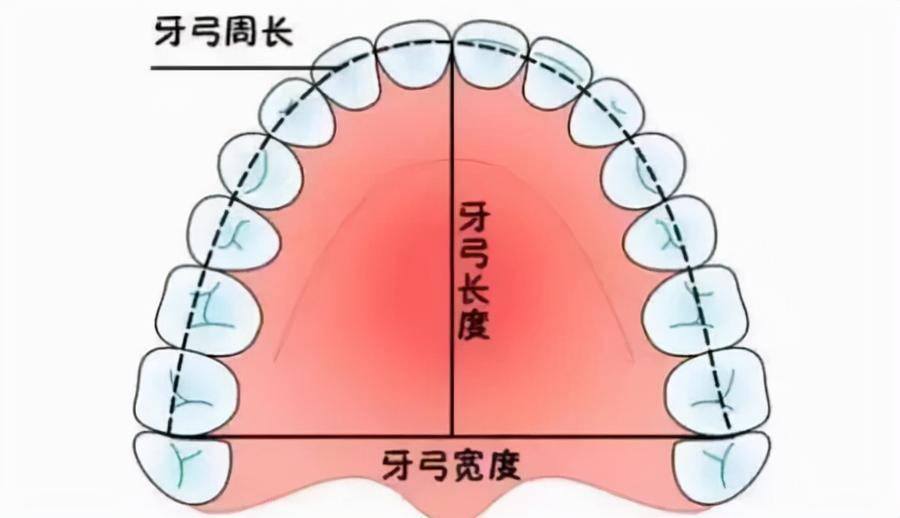 国民初恋毁容了,国民初恋盛世美颜