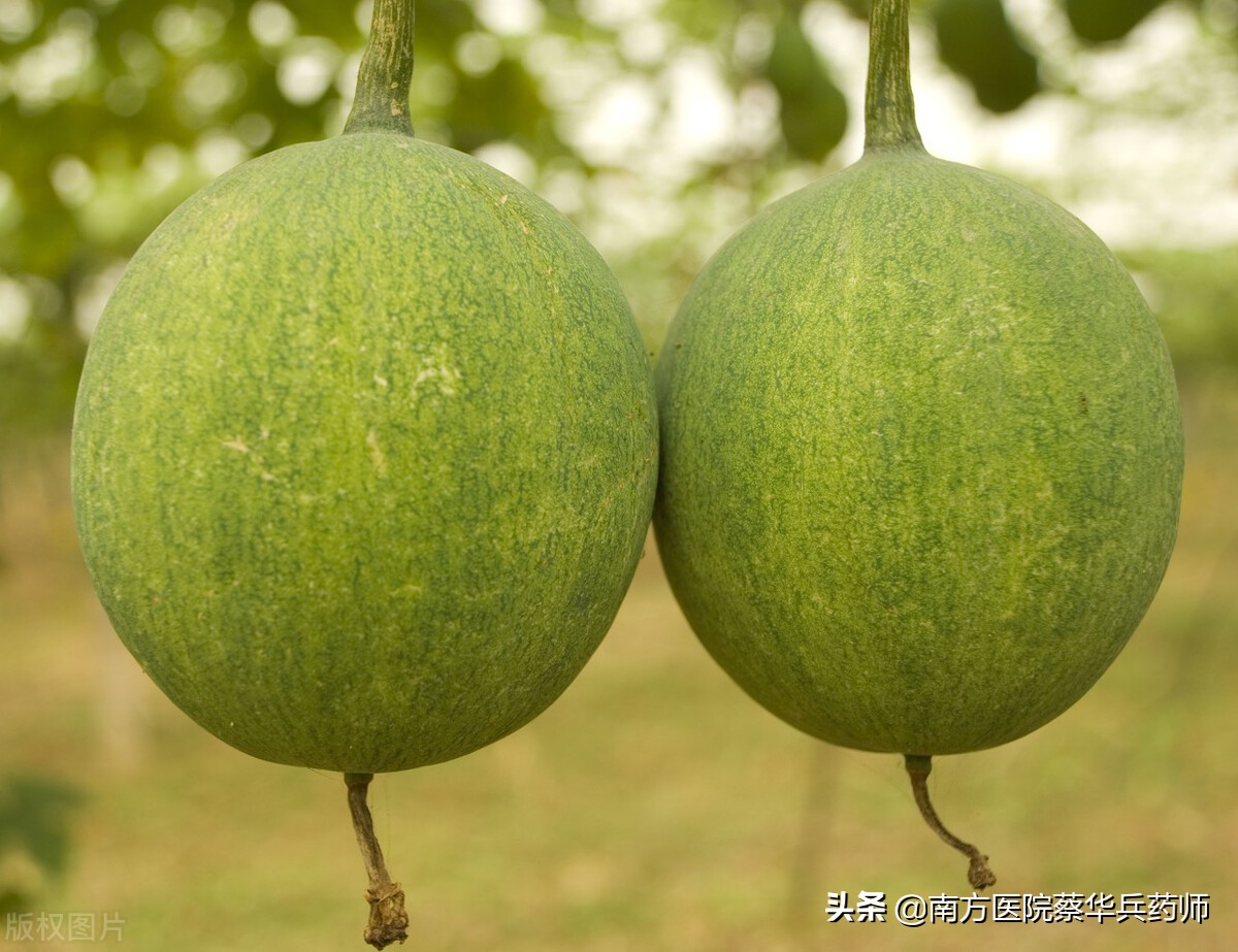 张仲景化寒痰第一方,痰蒙心神的代表方剂