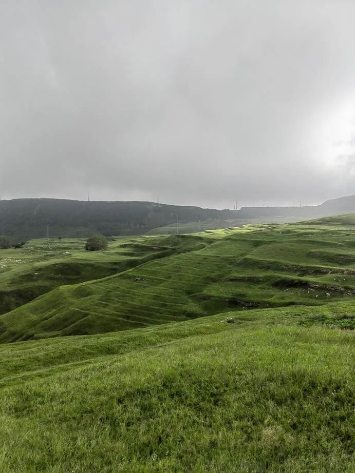 灏忓ぉ灞遍夯鐢板箔鏅尯鍦ㄥ摢,楹荤敯宀皬澶╁北鐢ㄩ绾﹀悧