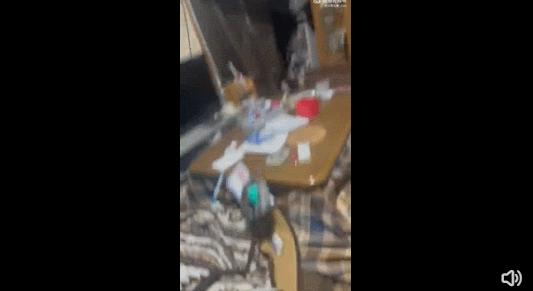 日本发生7.4级地震现场,日本发生7.4级地震