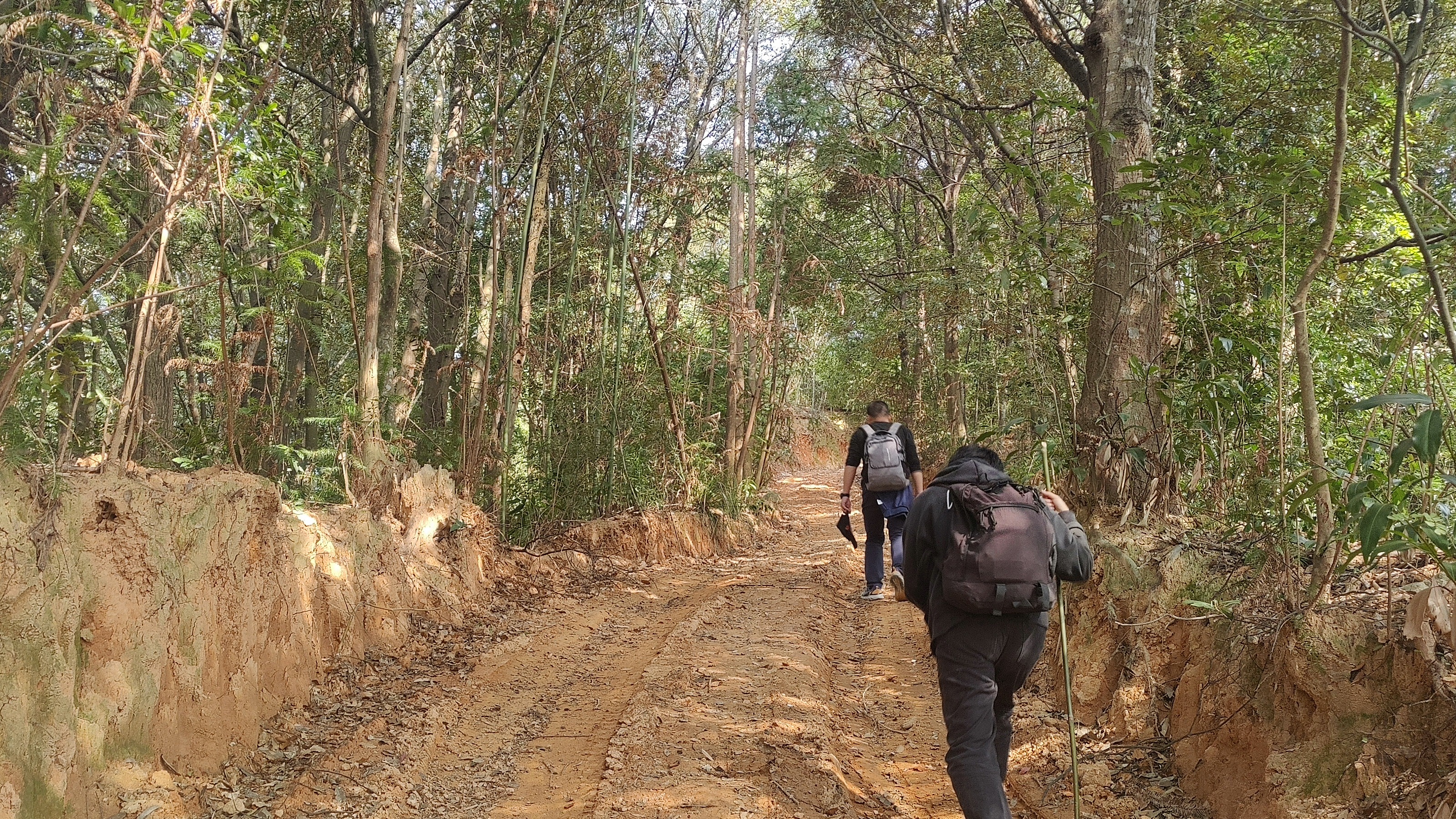 徒步三叠井森林公园，拥抱采兰溪，走进大自然