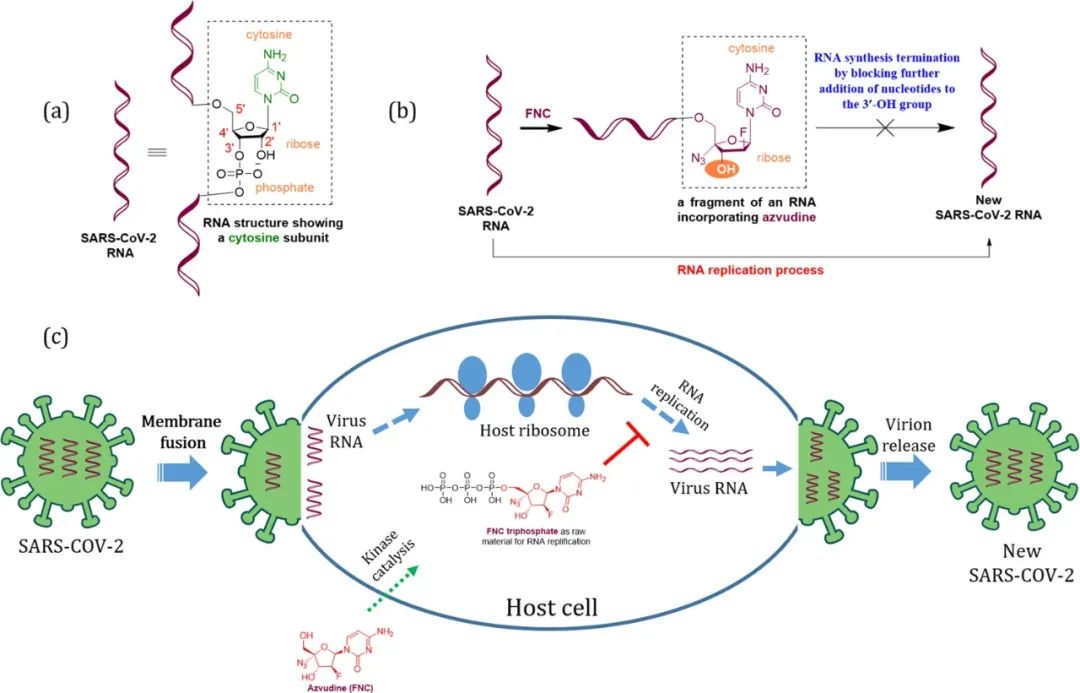 paxlovid和阿兹夫定成分有区别吗,连花清瘟新冠临床试验