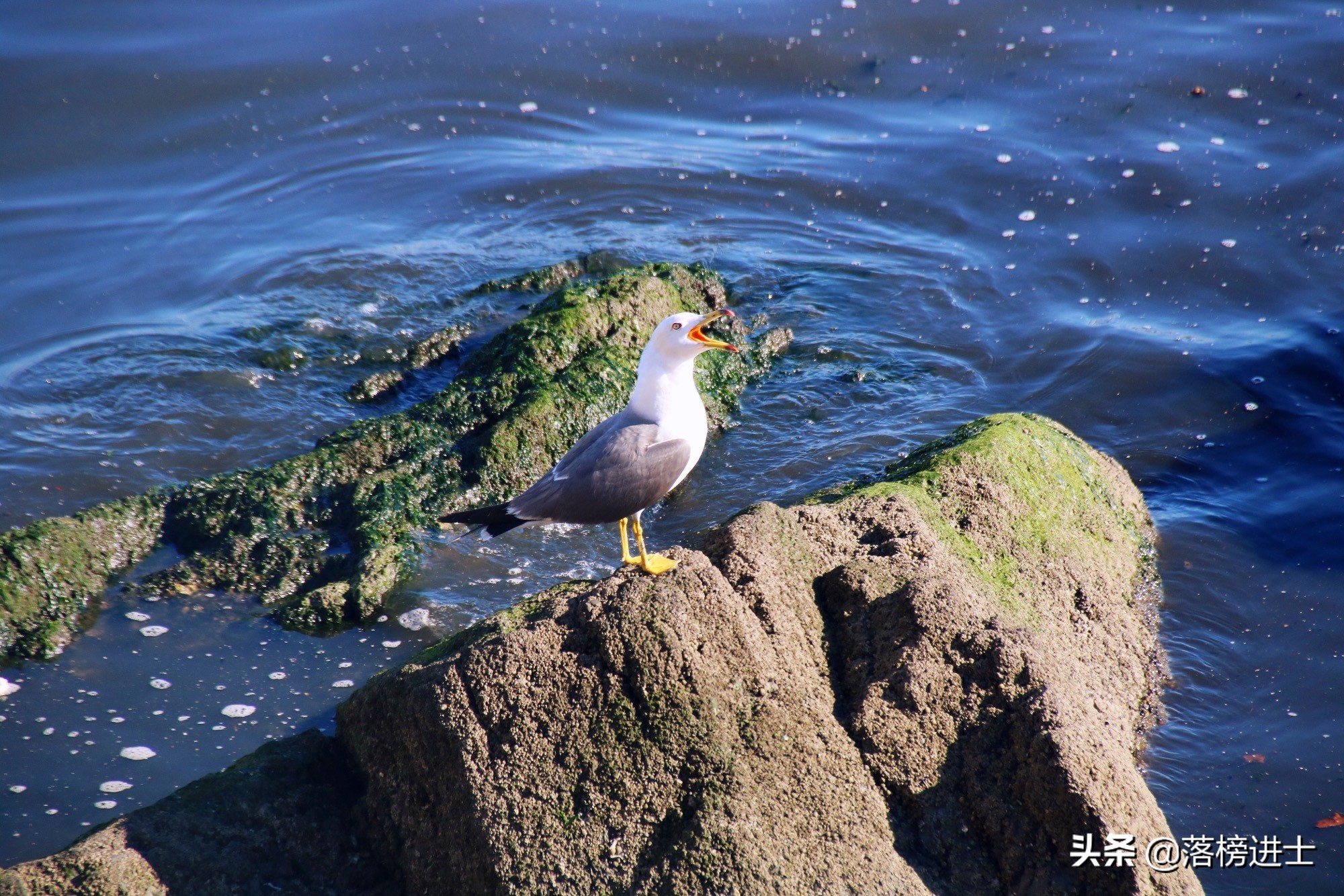 大连黑石礁地质公园怎么样,大连黑石礁景区简介