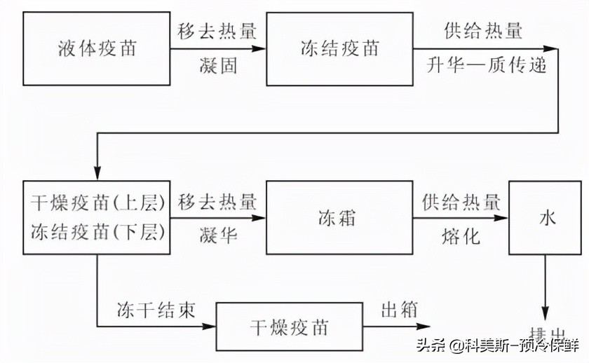 真空冷冻干燥操作步骤,冷冻真空干燥脱水设备