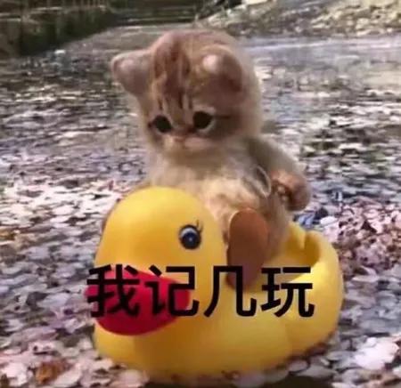 期待五一的表情包,挺住马上就有客户了表情包