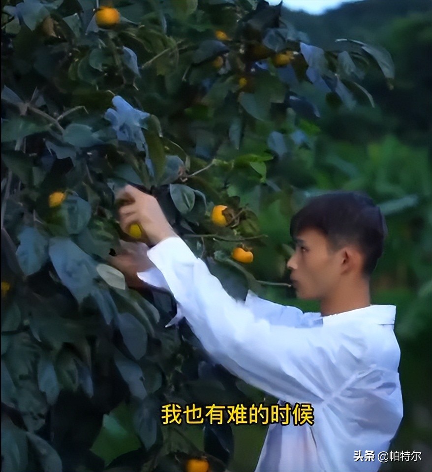 陆仙人掉鞋视频,陆仙人掉鞋