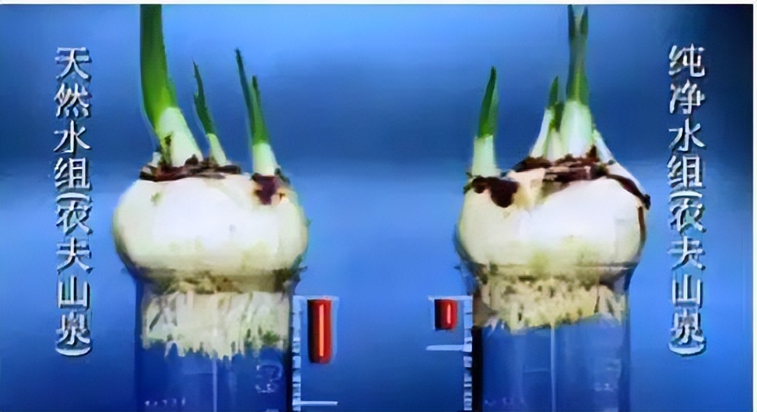 农夫山泉面对消费者对瓶装水质疑,农夫山泉如何称霸瓶装水