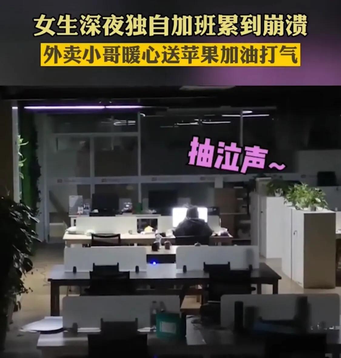 密保忘记密码怎么申诉,如何通过密保问题找回密码