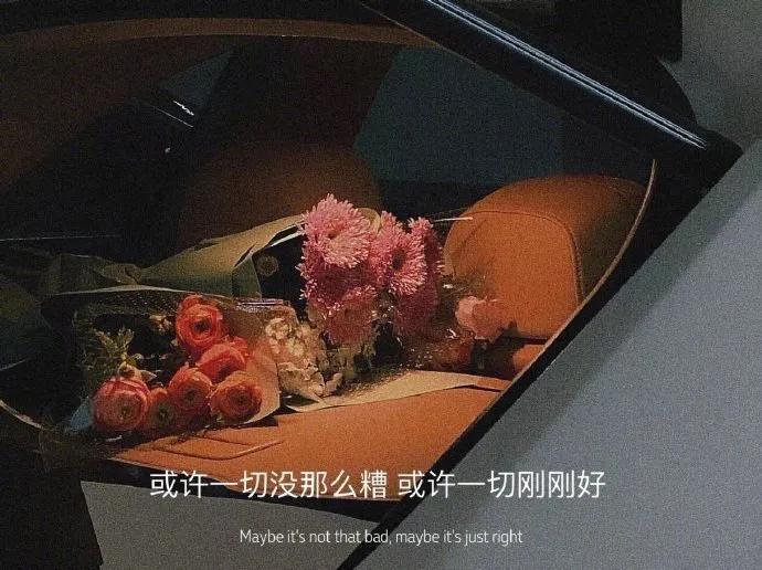 情绪郁结文案,熬过心情再熬生活的文案