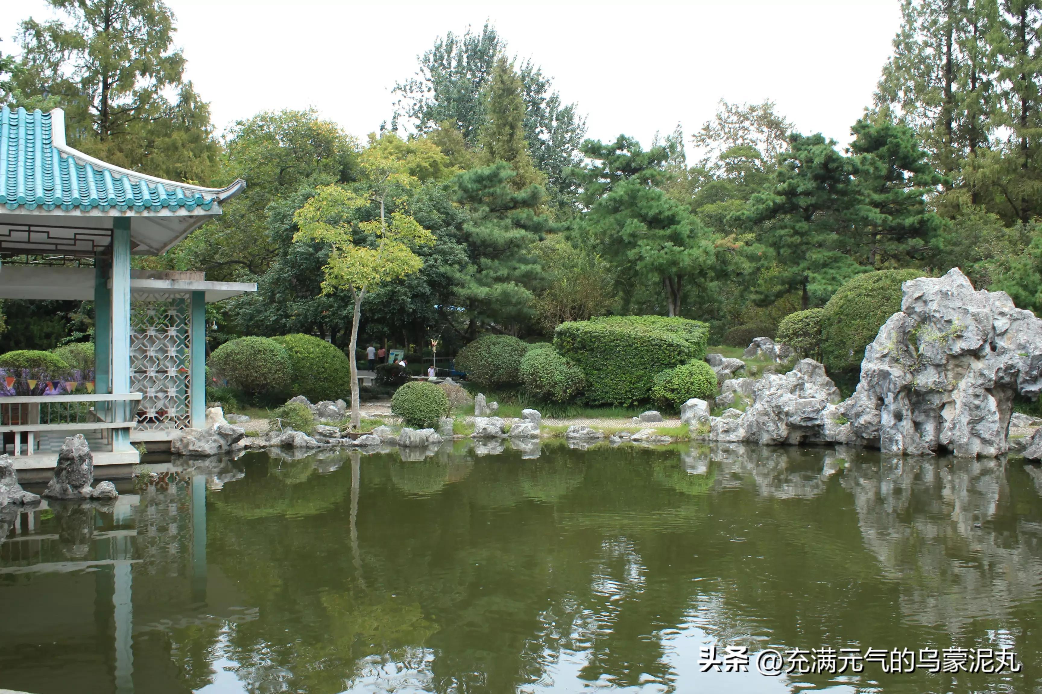 被保健品蛊惑的老人,被保健品骗的老人