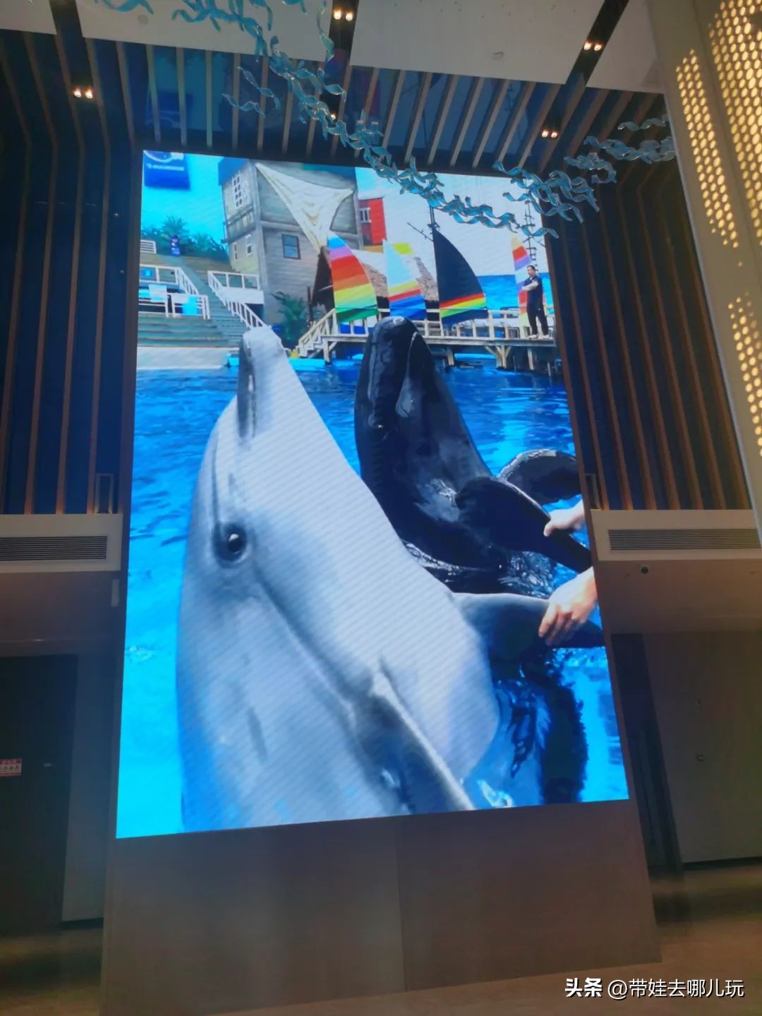 上海外滩高性价比亲子酒店,天津滨海新区亲子酒店推荐