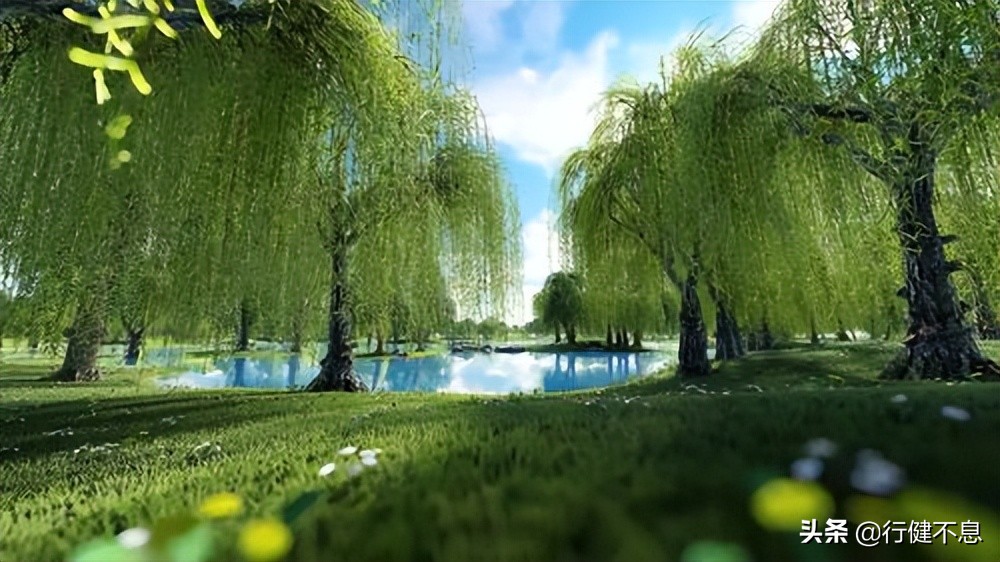 关于咏柳著名诗句及其赏析,咏柳经典诗词100首