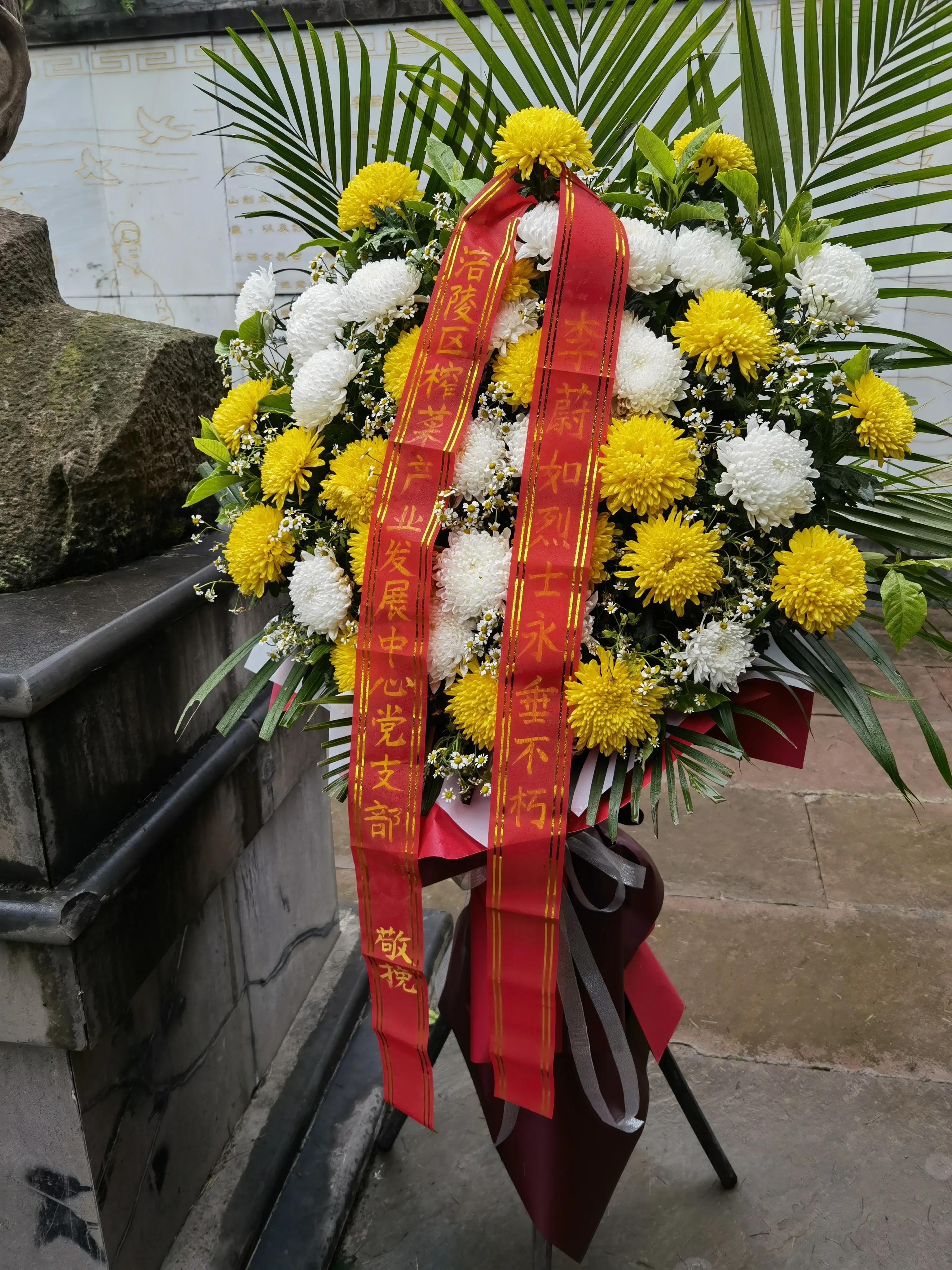 大顺李蔚如,航拍涪陵区大顺镇