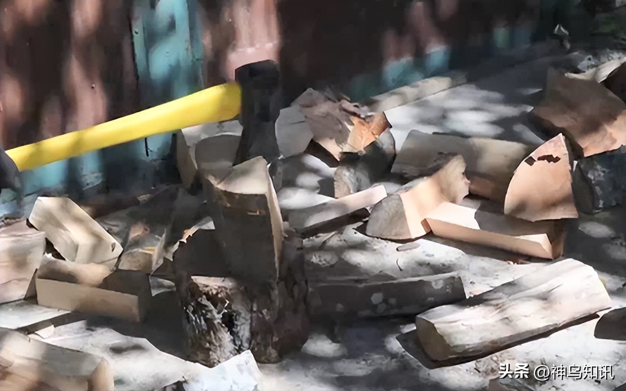 神鸟国际观察丨劈柴取暖成首选！欧盟各国能否度过“最冷最贵”的冬天？