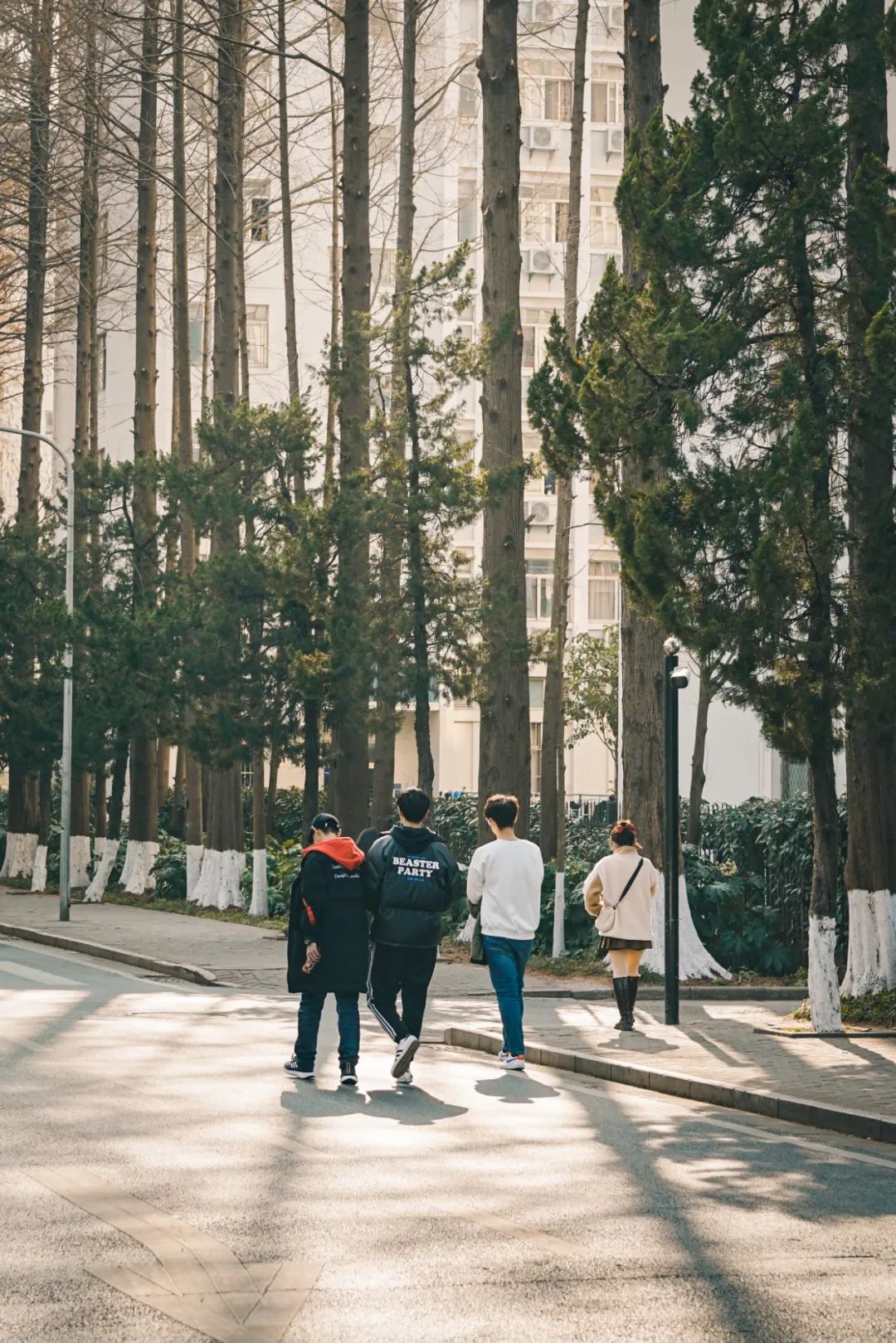 南京人的第一口奶---回到卫岗