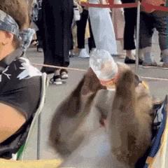 有没有结婚找不到伴娘的尴尬,快结婚了找不到伴娘怎么办啊