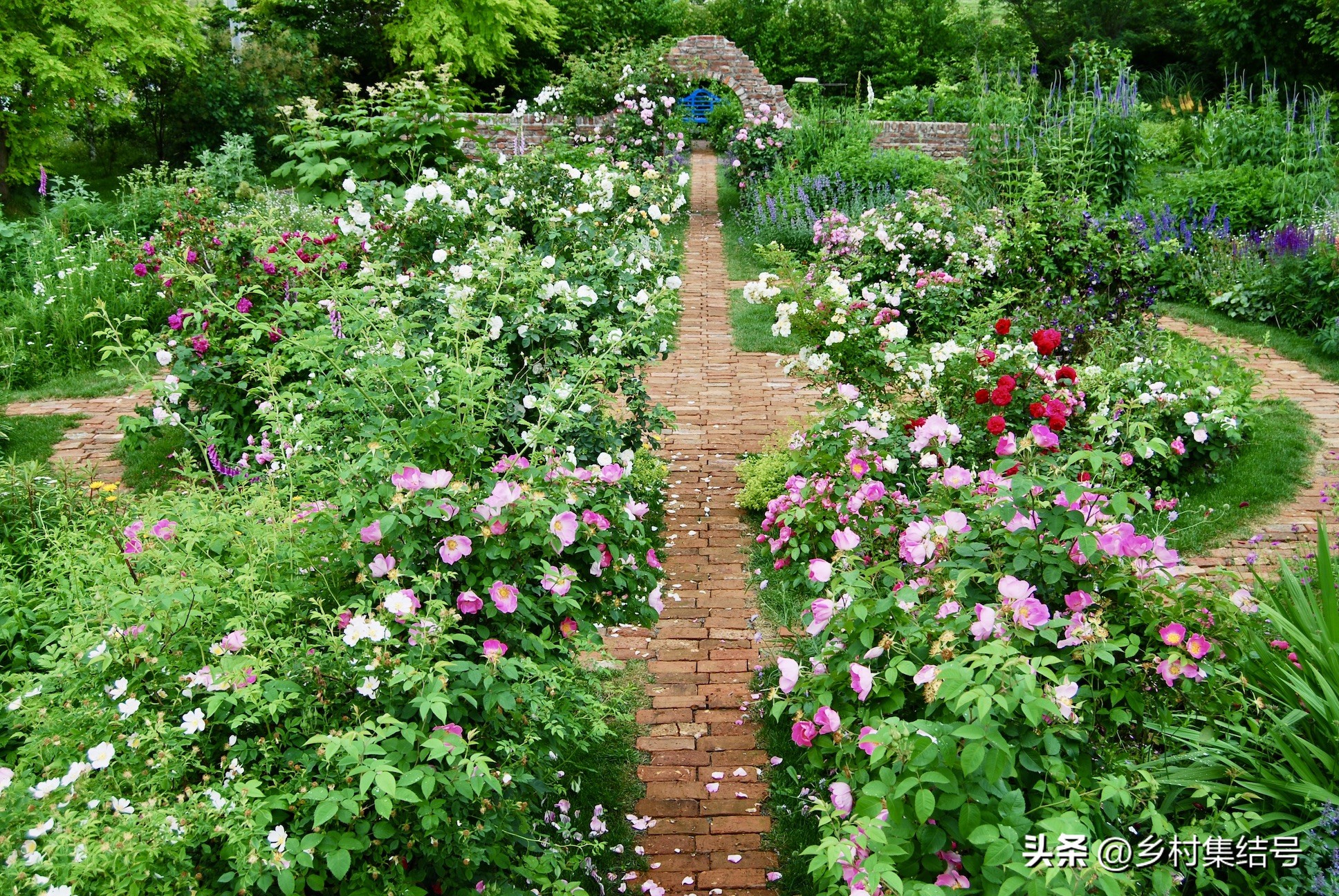 北海道上野农场,日本北海道上野农场