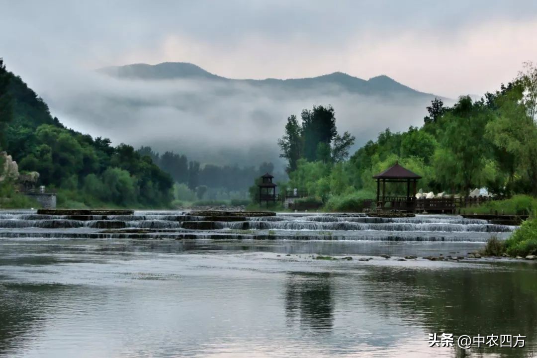 现代农业助推传统农业转型升级,农业新业态新模式