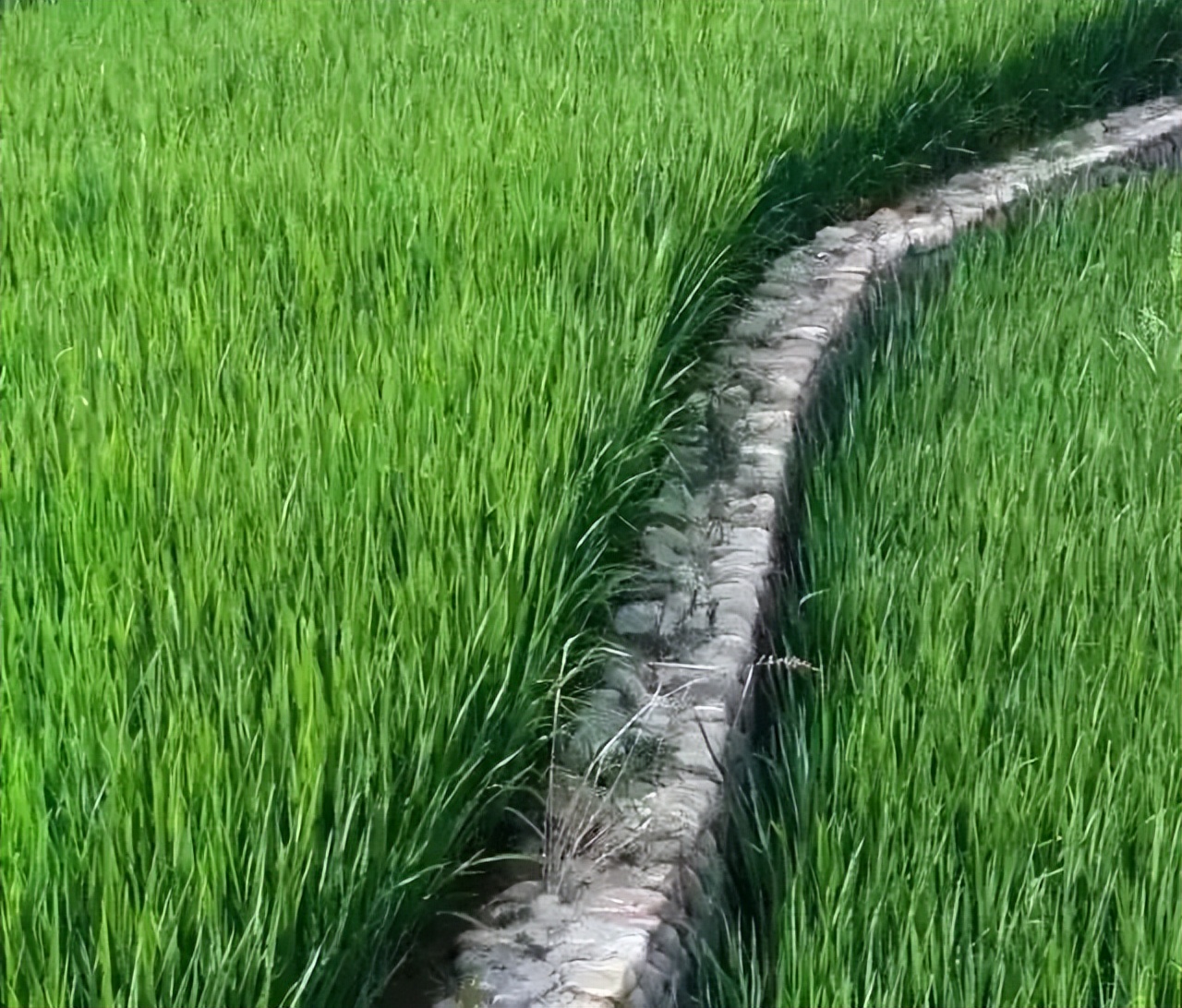 杭黄高铁到黄山景区,杭黄高铁宁波到黄山