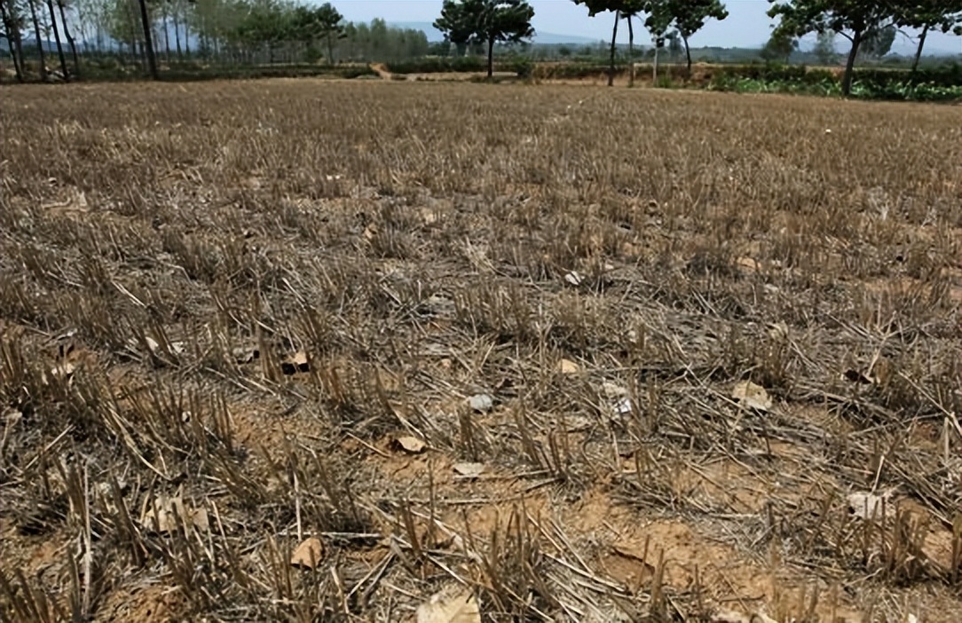 老百姓对断绝香火的冷漠,老百姓对断绝香火危机的冷漠