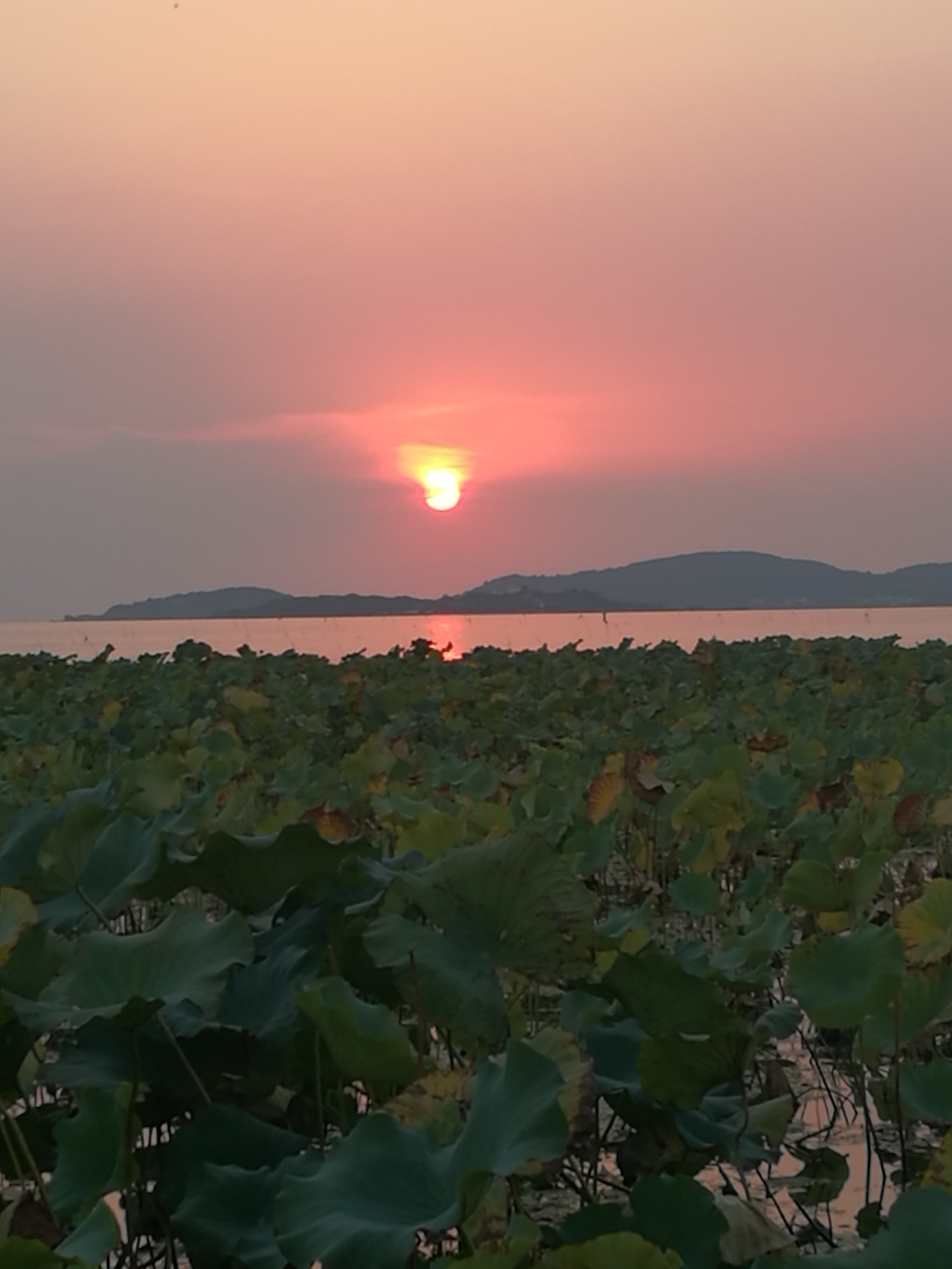 苏州东山农贸批发市场图,苏州东山轻轨