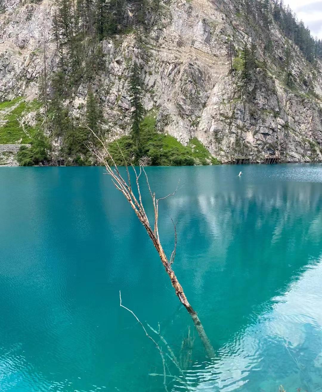四川旅游攻略最值得推荐的景点,四川风景区旅游景点排行榜前十名