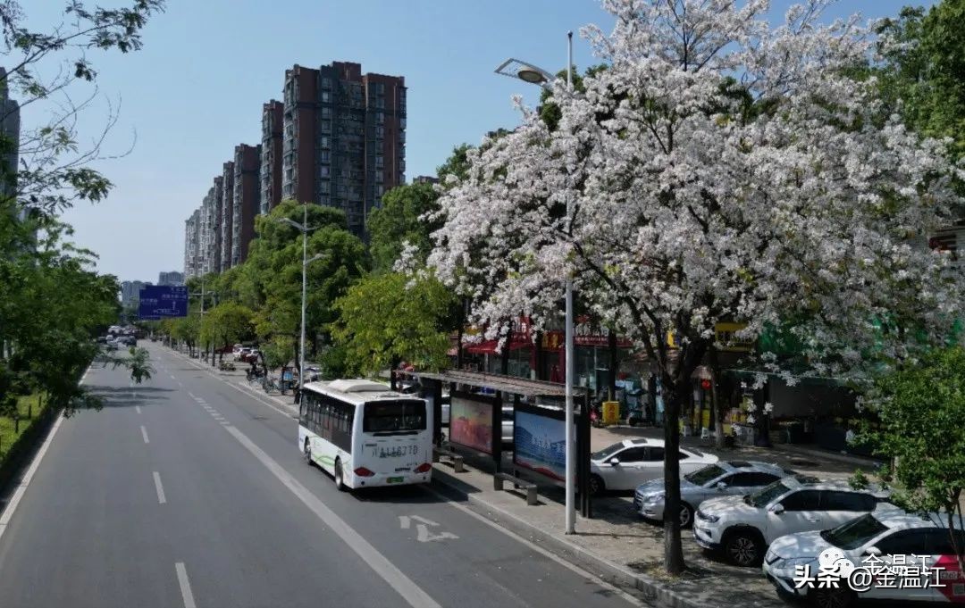 五一温江有什么活动,五一来温江