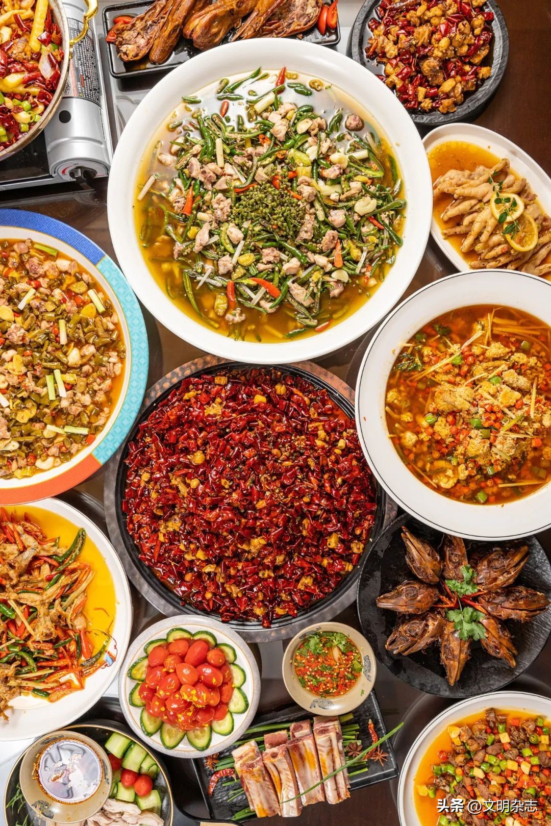 兔子来阳台,兔子来到新家