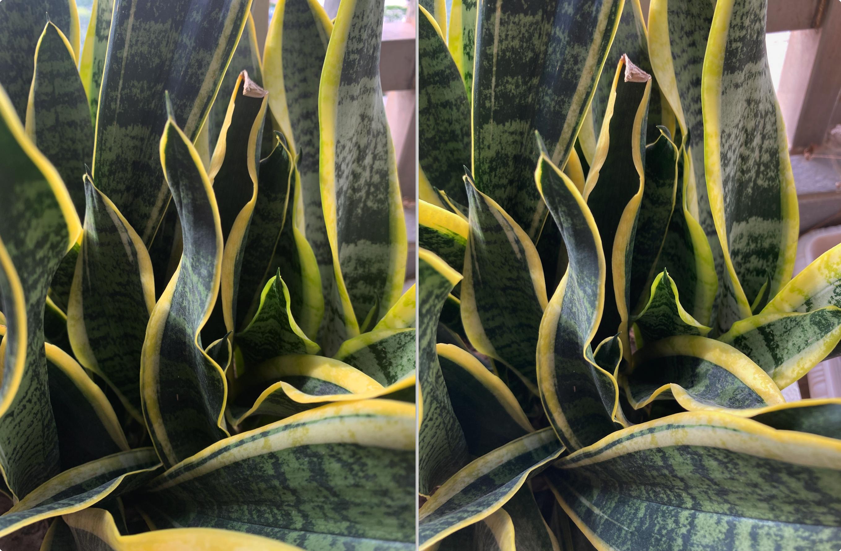 在二手市场收了一部iPhoneXS，开始为安卓低端机市场担忧了