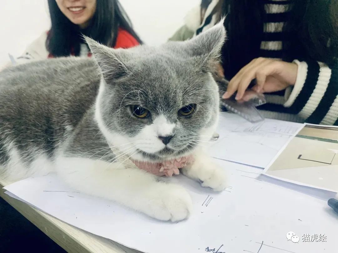 鐚檸缁樼敾,鐚檸鎵嬬粯