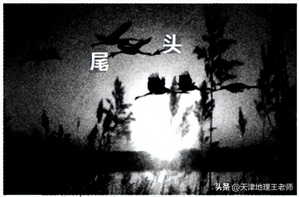 天津河西区2020-2021地理期末试卷,2022天津市河西区高三一模地理