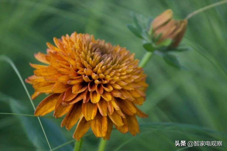 空调行业用户满意度测评出炉,空调三大巨头优势调查