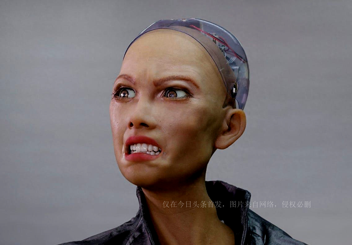 机器人索菲亚毁灭人类原声,索菲亚机器人真的要毁灭人类吗