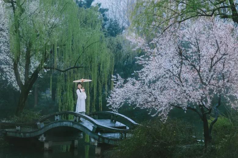 描写花的古诗句大全,关于花的古诗词名句