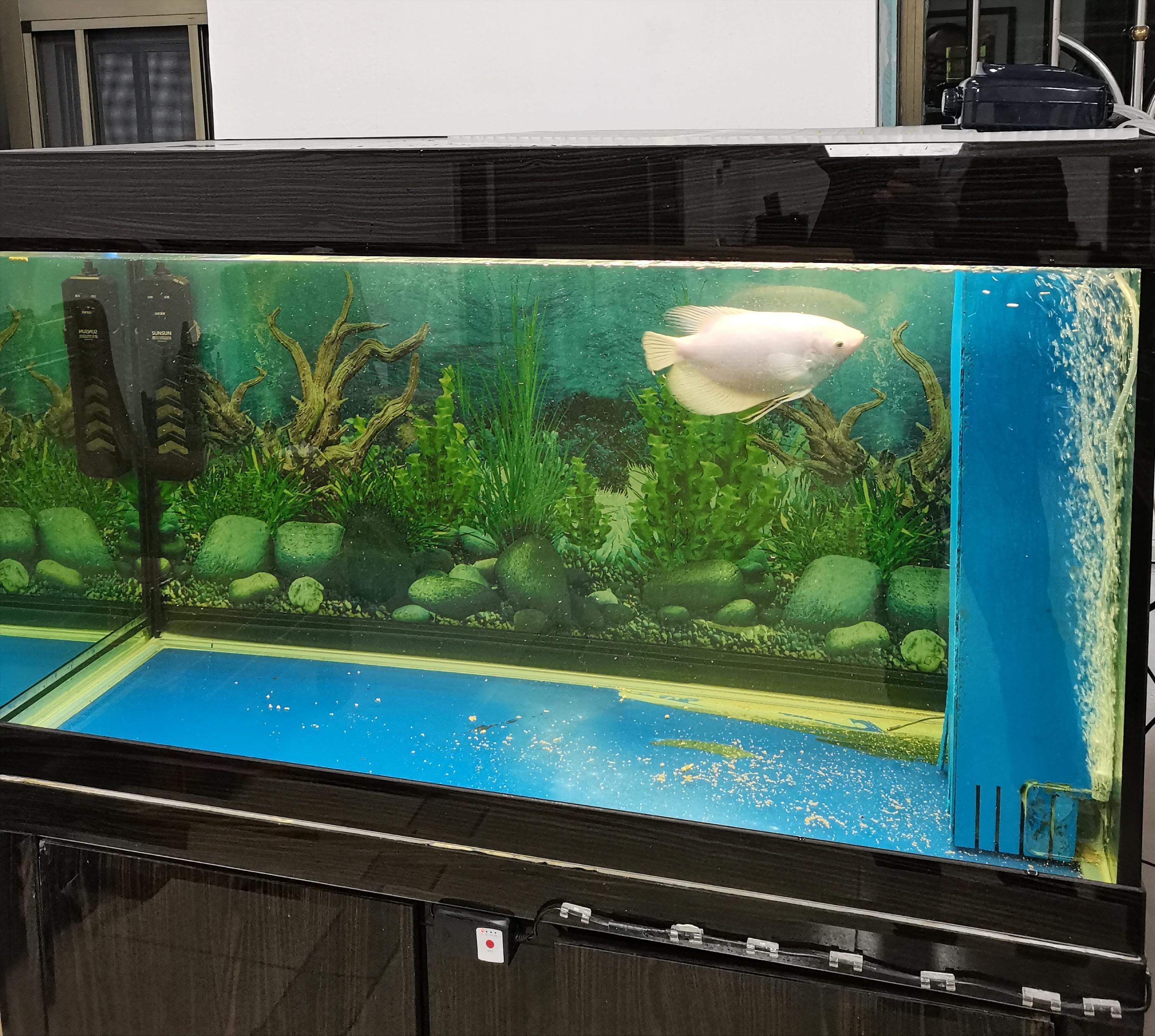 小鱼缸氧气泵需要一直开着吗,鱼缸需要一直开着氧气泵吗