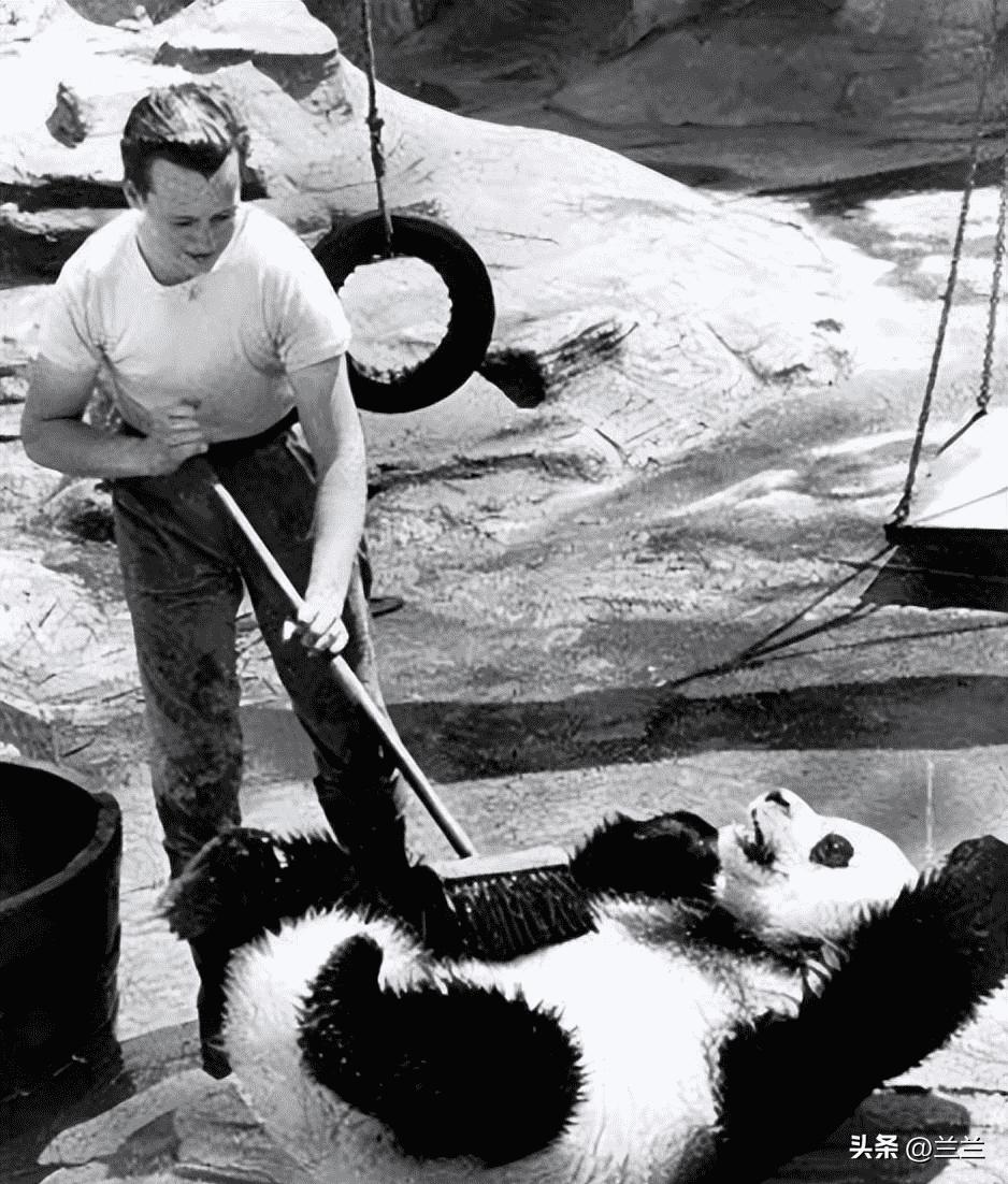 日军日记:在徐州建立了慰安所,不听话的女人就割掉其乳房!