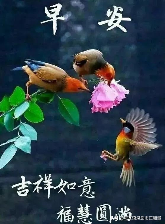 早安心语心灵鸡汤句句经典入心,早安的心灵鸡汤正能量短文