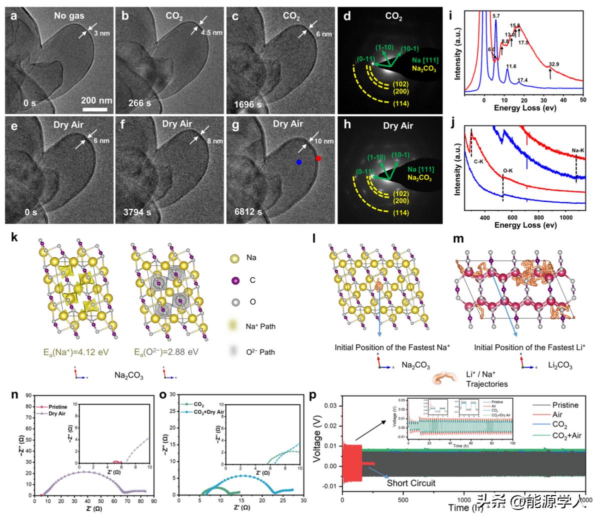 JACS：干房中为什么锂稳定但钠不稳定？