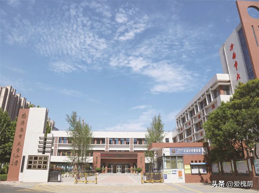 济南市槐荫区大金小学,济南大金小学