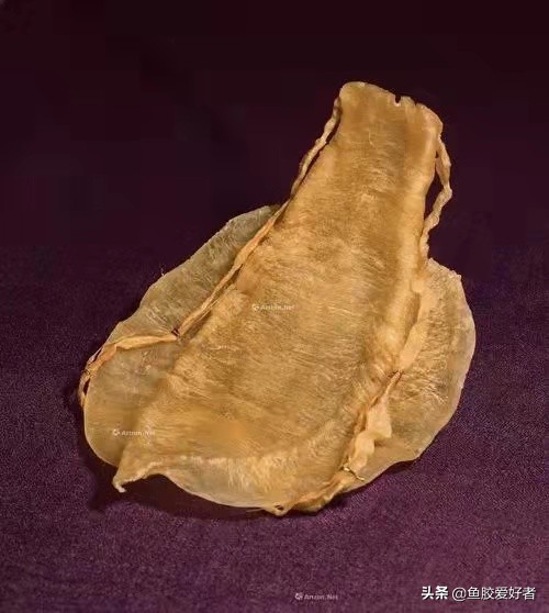 收藏版：全网最全的鱼胶品种，鱼胶品种这么多，你都认识吗？