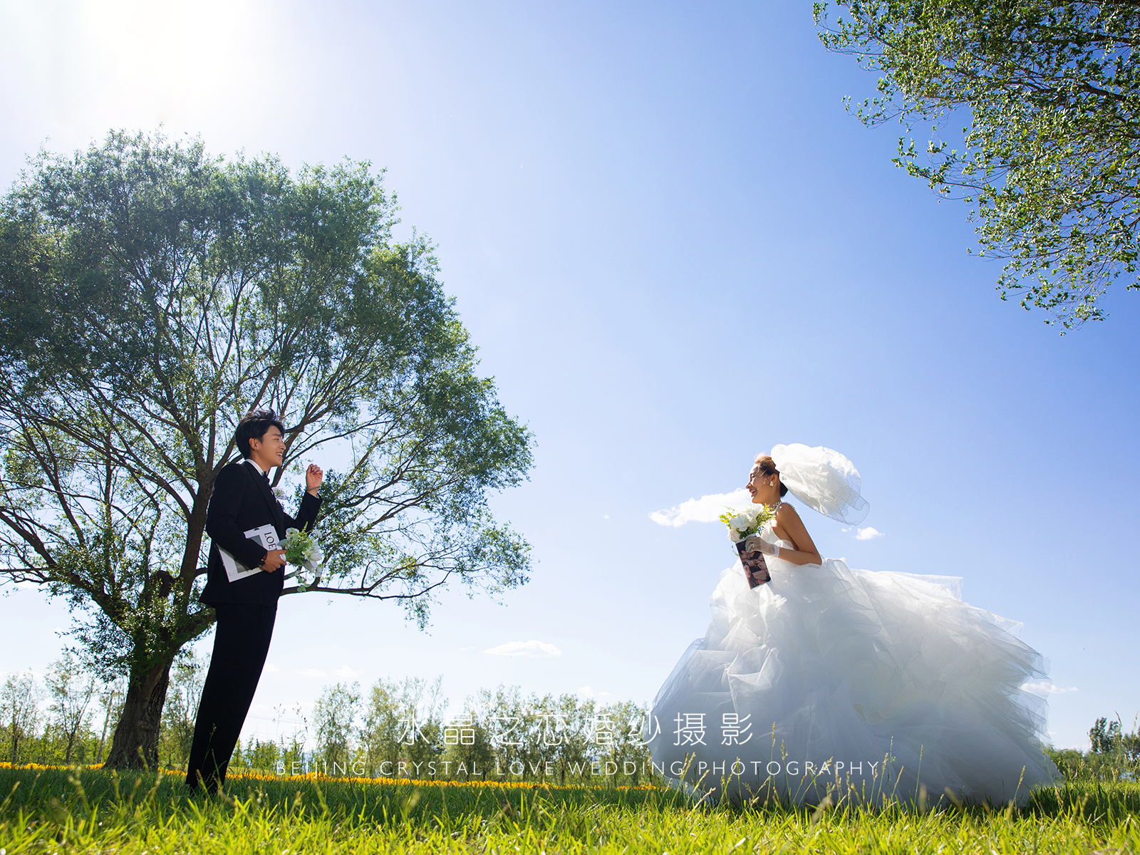 ins风森系婚纱照草坪六宫格图片,森系草坪婚纱照拍摄技巧