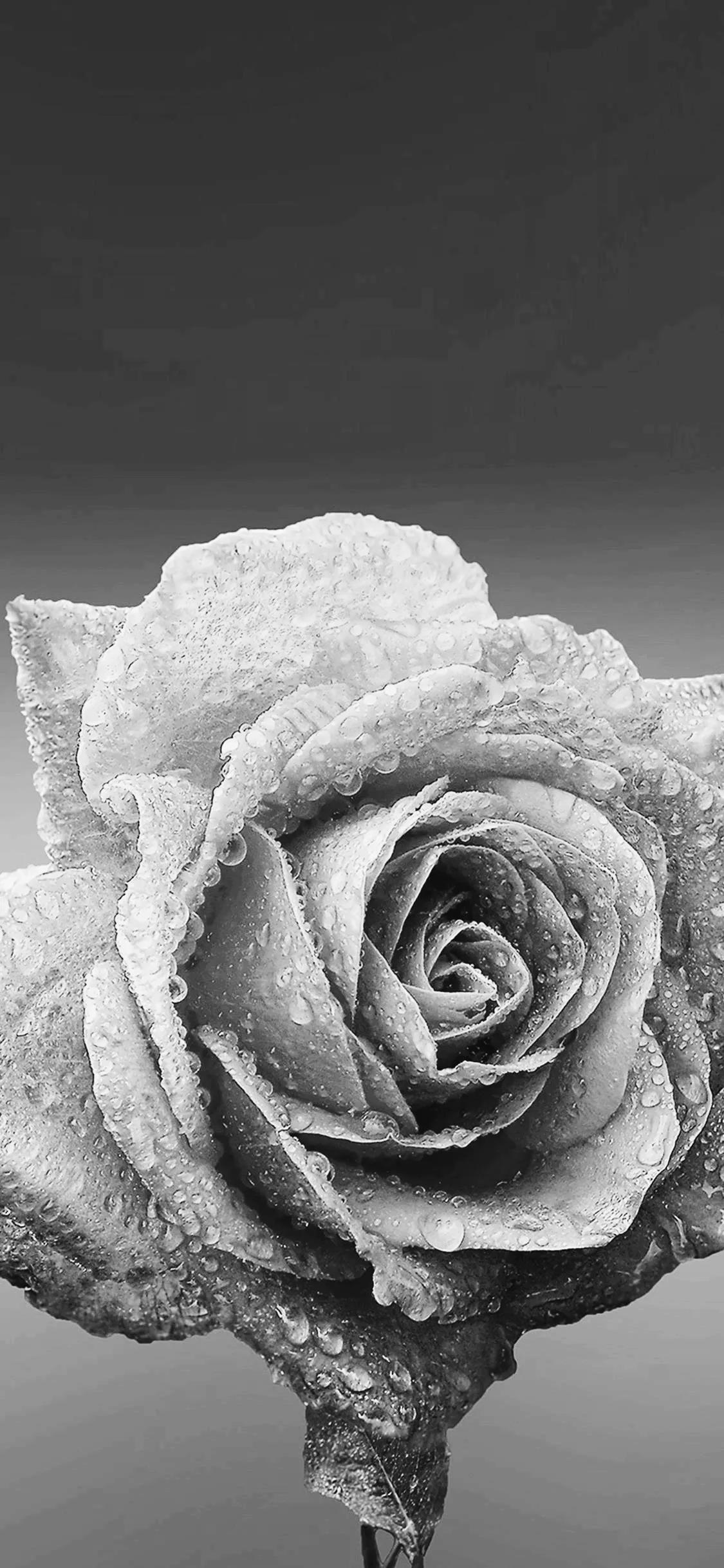 黑暗系壁纸黑底文字,黑暗色系的壁纸