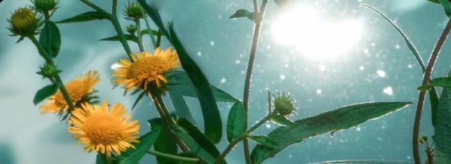 分享上百件小事,分享的一百件小事