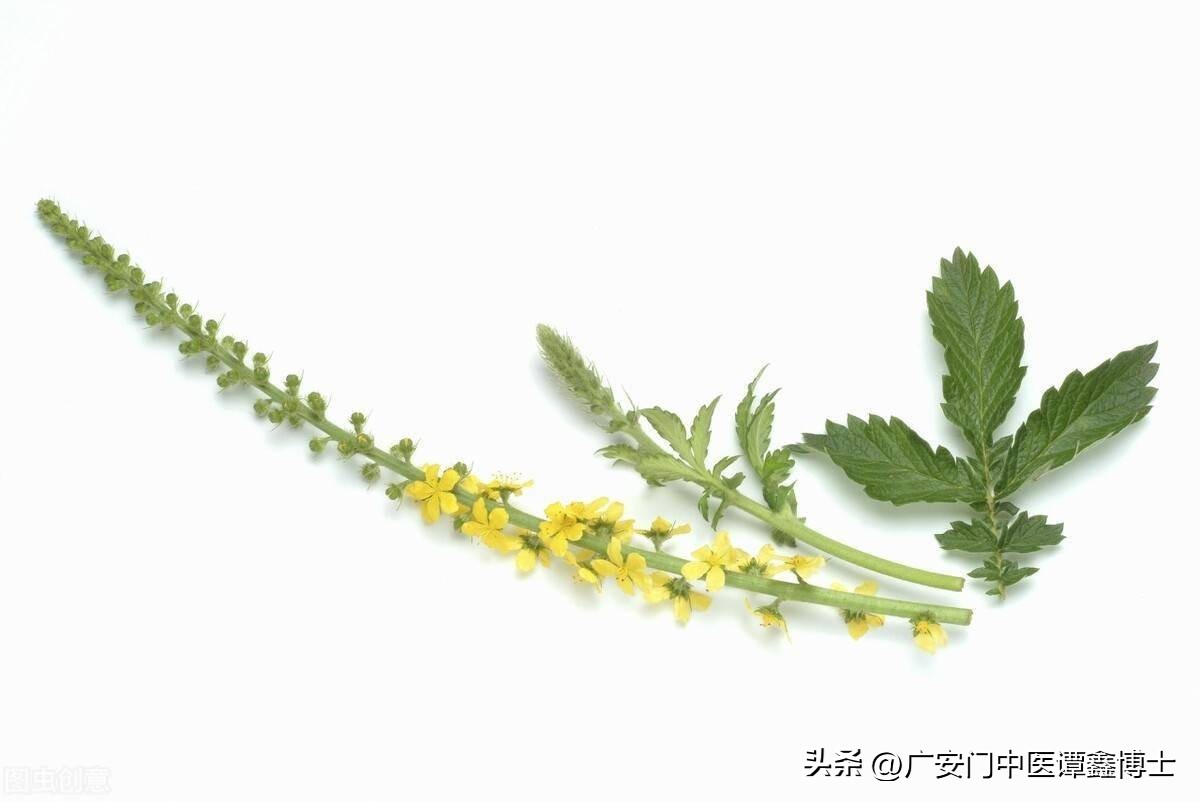 治疗前列腺癌骨转移验方,前列腺癌转移中药药方