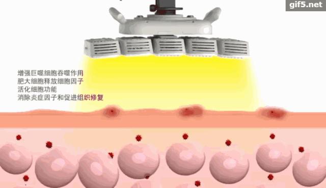 舒缓肌肤敏感泛红,敏感肌镇静舒缓的精华